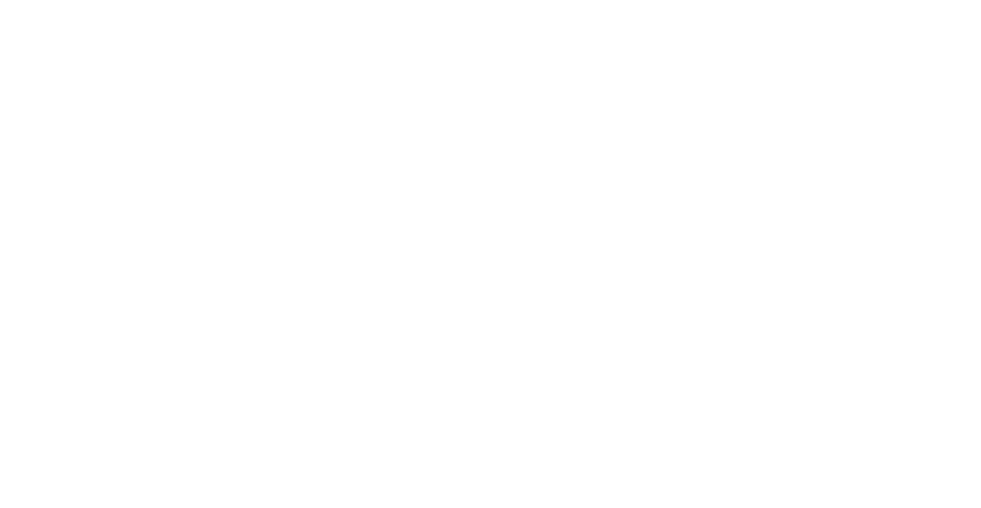 BIZZMD LLC